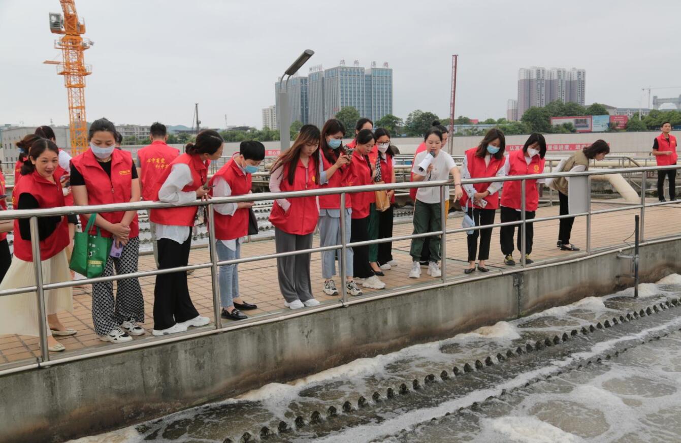 1686042416679338.jpg 1686042416679338.jpg